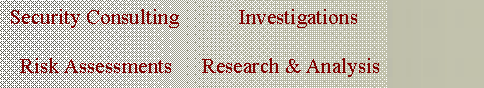 Text Box: Security Consulting           Investigations  Risk Assessments	Research & Analysis	